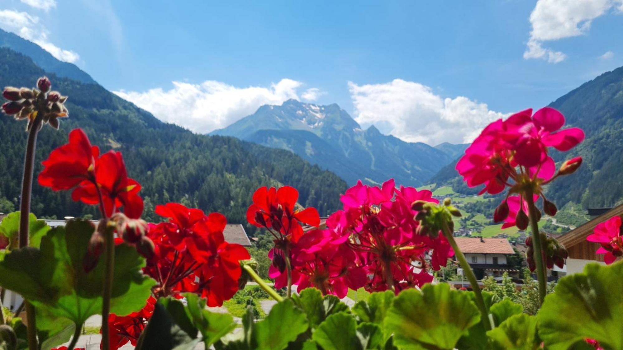 Scheulinghof Hotel Mayrhofen Exterior photo